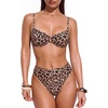 216 Leopard