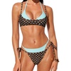 Blue and Brown Polka Dots